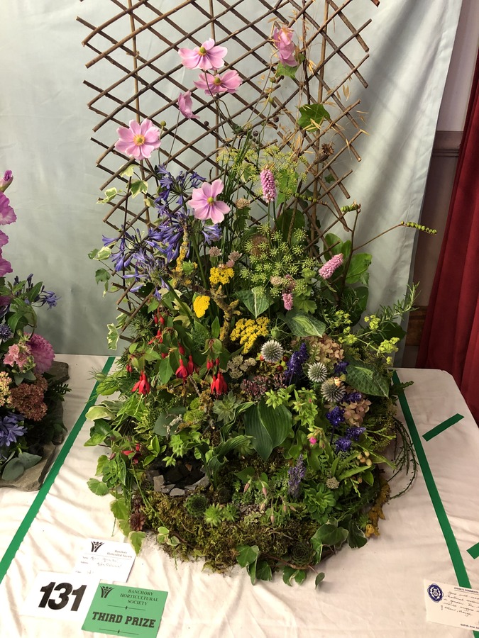 Banchory Show - Betty's Garden - 